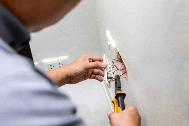 Best Electrical Troubleshooting Services  in Palisade, CO